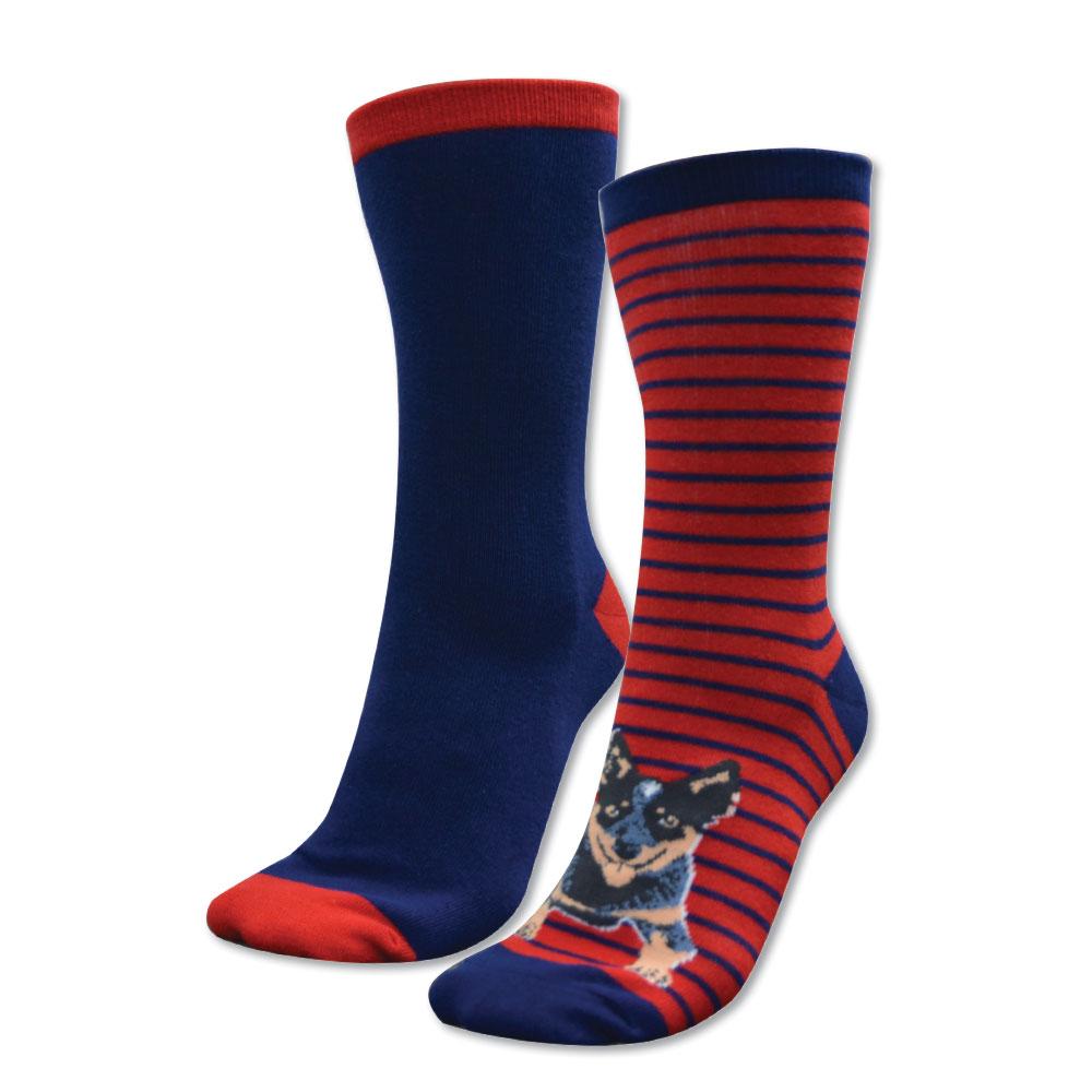 KIDS HOMESTEAD SOCKS - TWIN PACK NAVY/RED (BLUE HEELER) 3/8